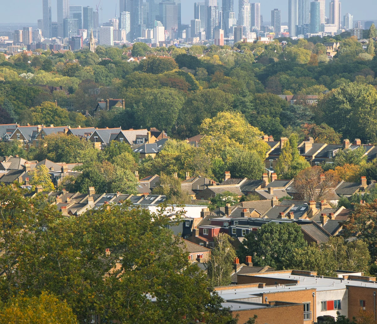 Professional IQ testing in Bromley - HCPC-registered psychologists