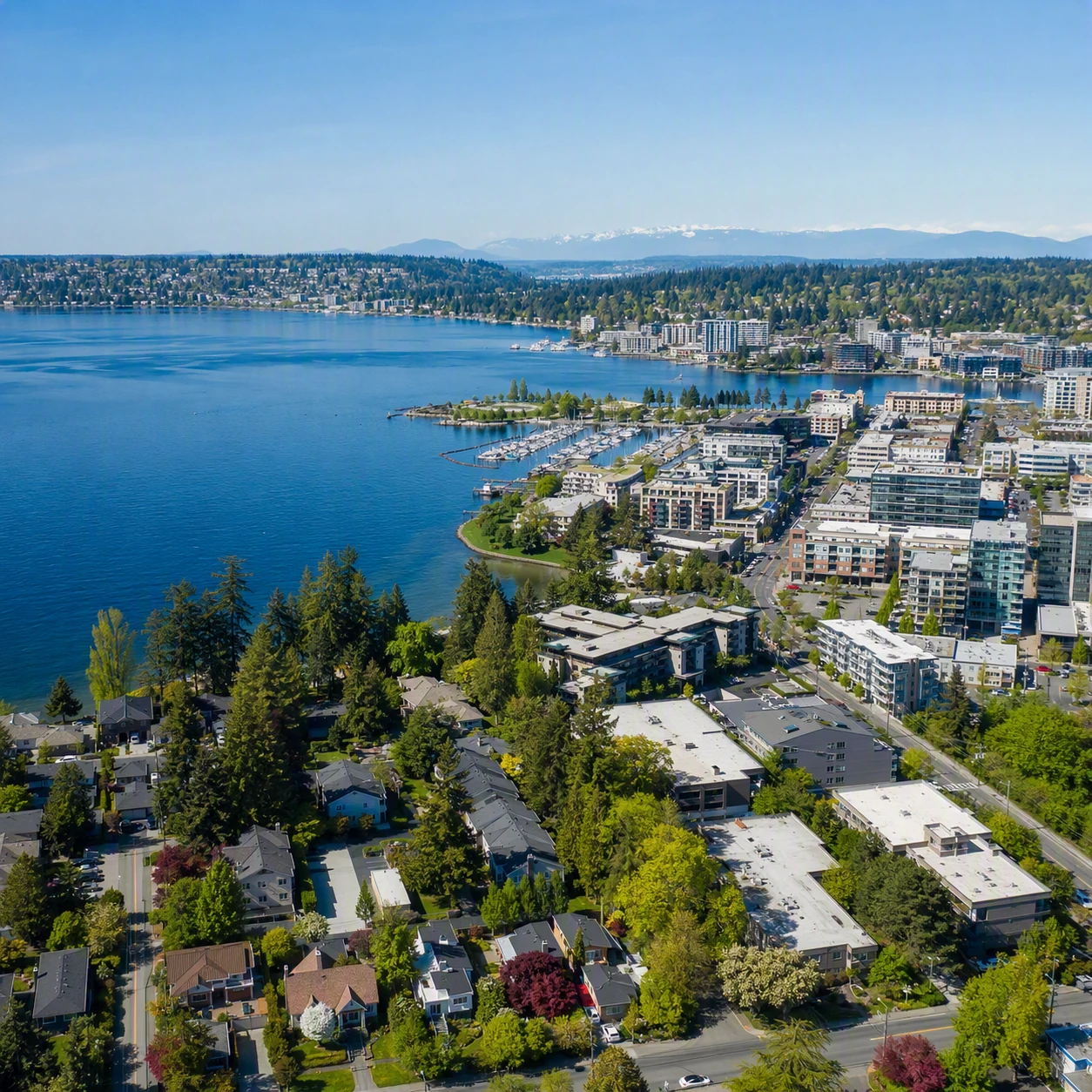 Professional IQ testing in Kirkland - licensed psychologists