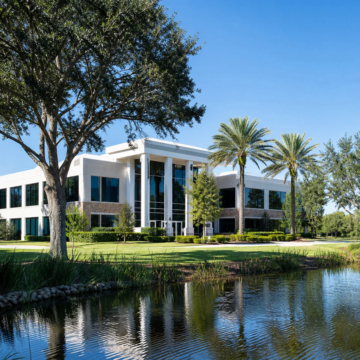Professional IQ testing in Palm Coast - licensed psychologists