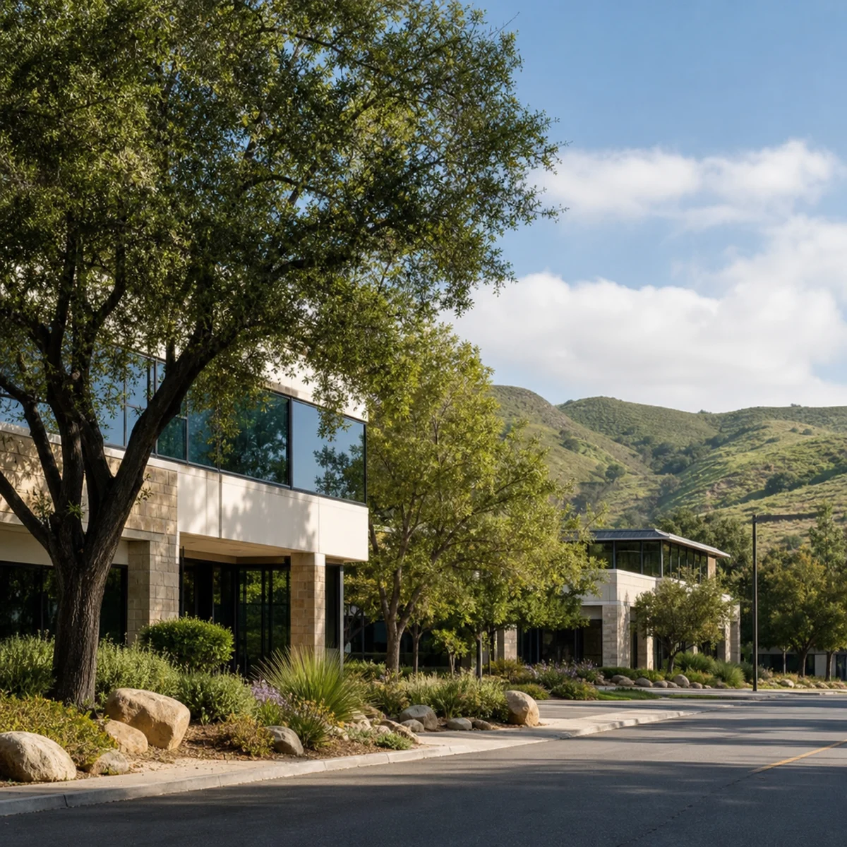 Professional IQ testing in Thousand Oaks - licensed psychologists