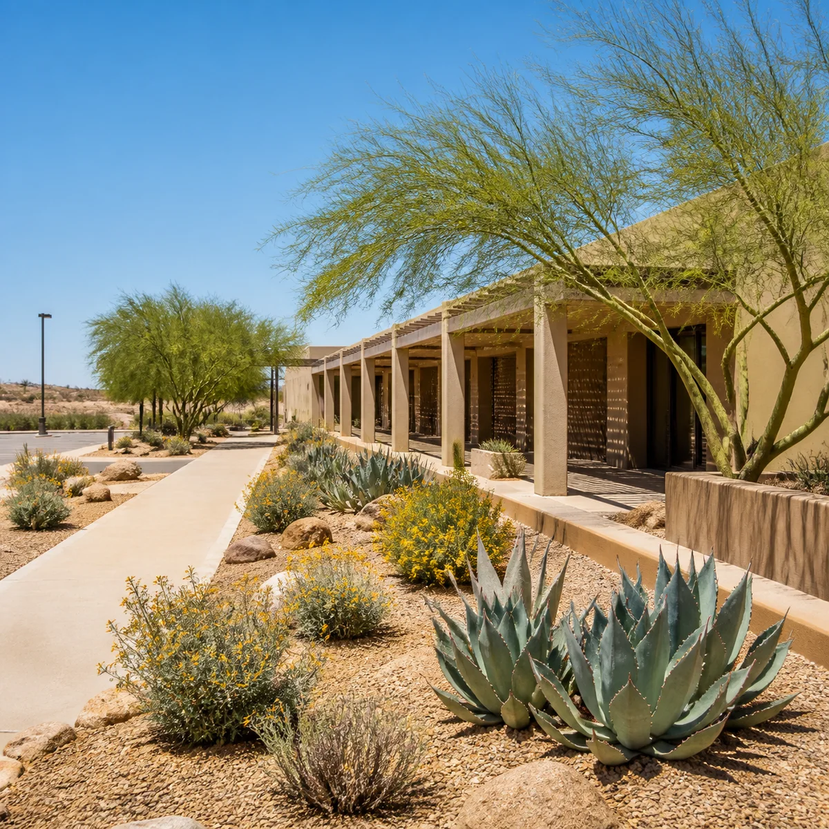 Full evaluation in Yuma - licensed psychologists