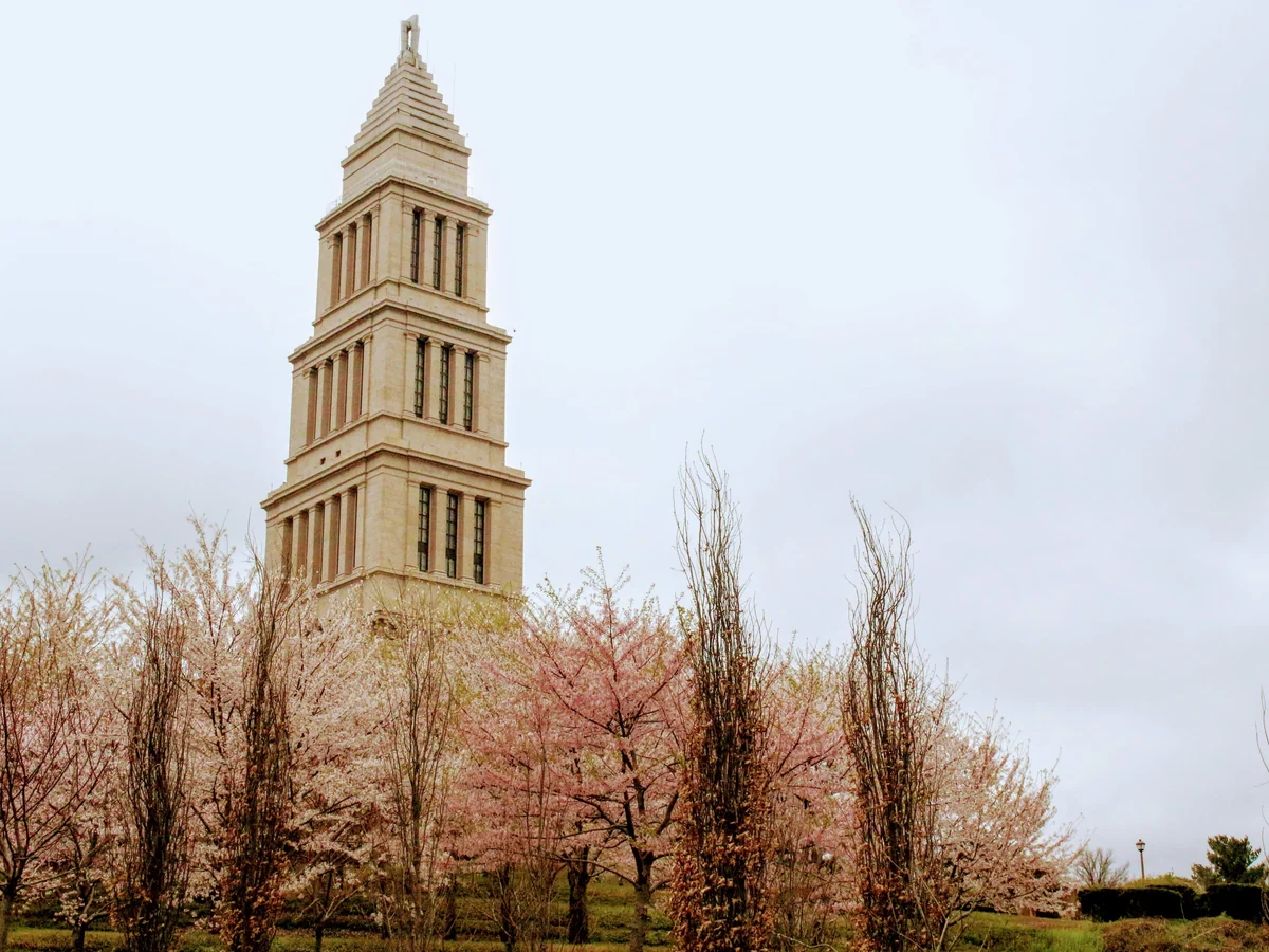 Professional IQ testing in Alexandria, VA - licensed psychologists