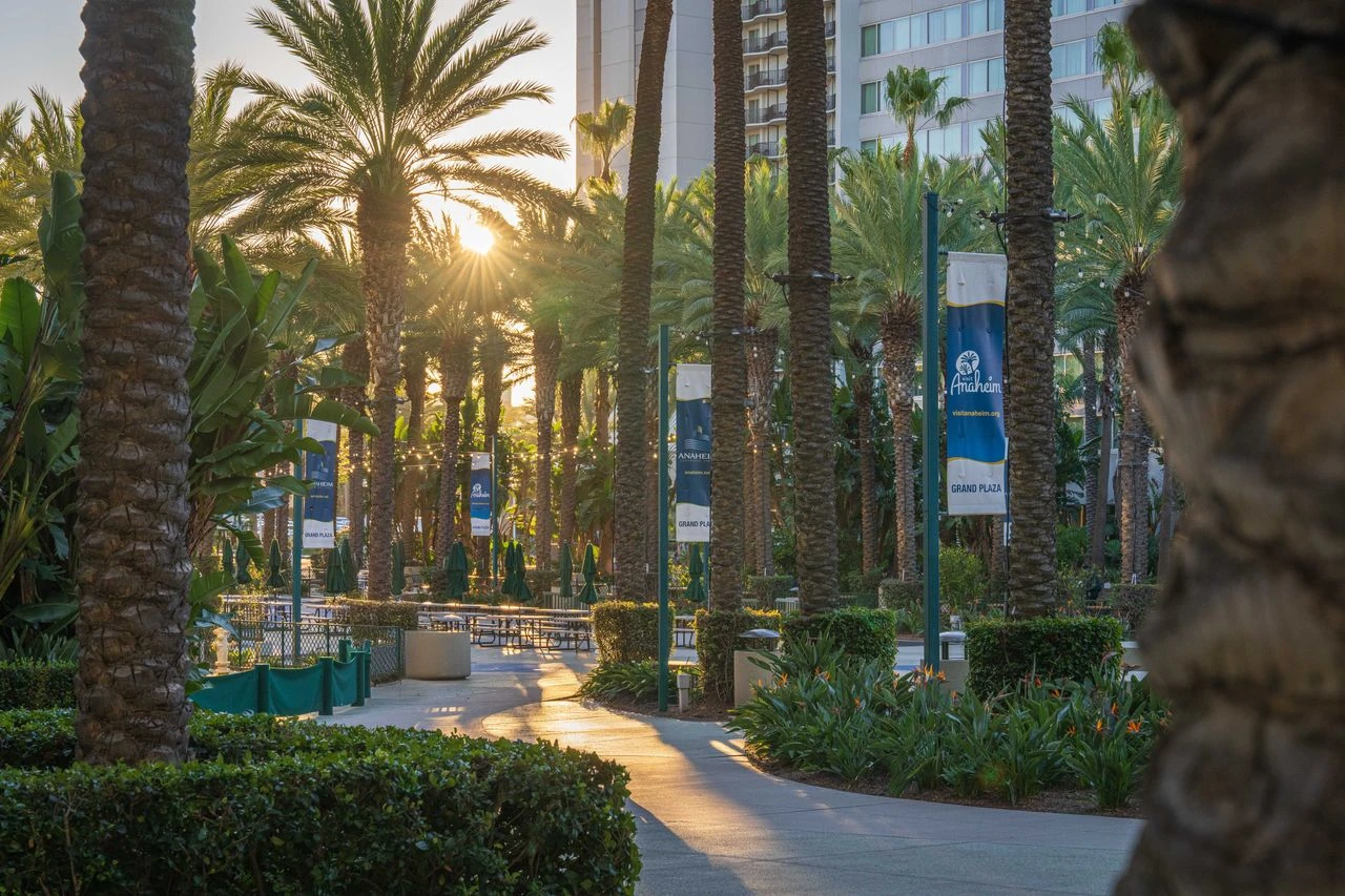 Professional IQ testing in Anaheim - licensed psychologists