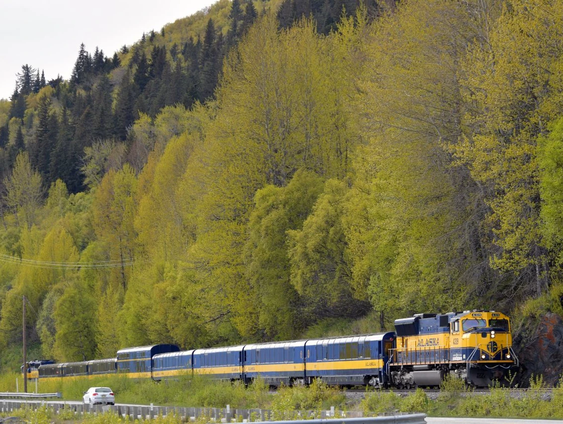 Professional IQ testing in Anchorage - licensed psychologists