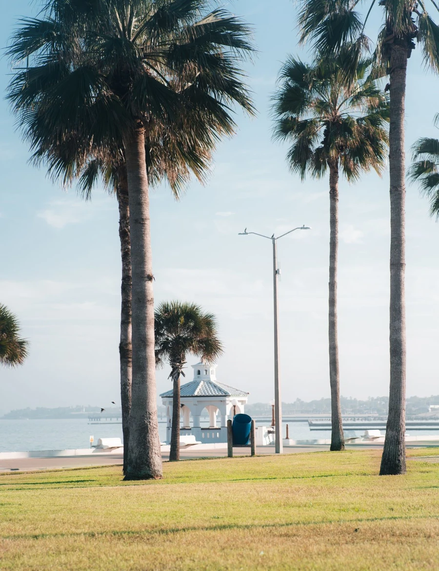 Professional IQ testing in Corpus Christi - licensed psychologists