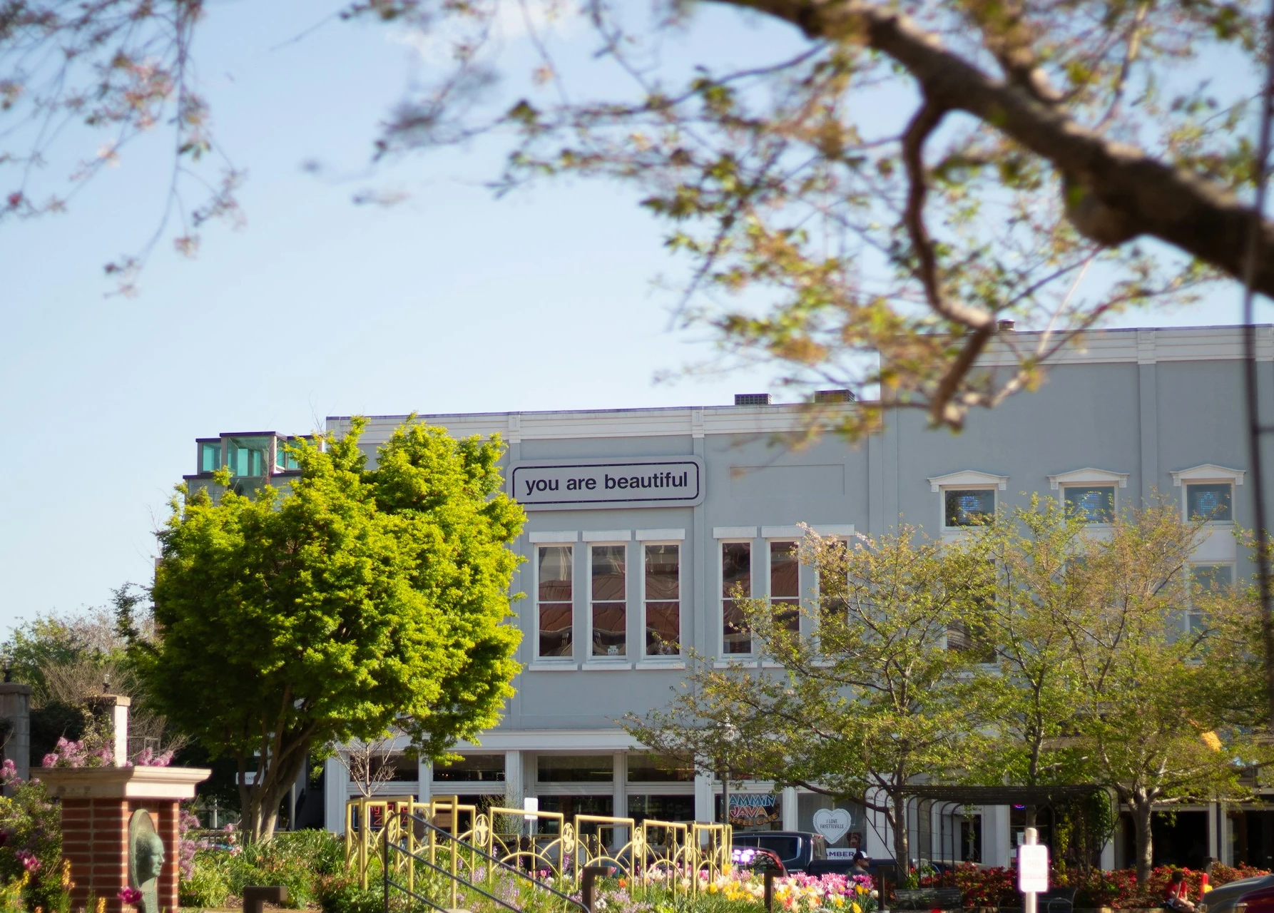 Professional IQ testing in Fayetteville - licensed psychologists