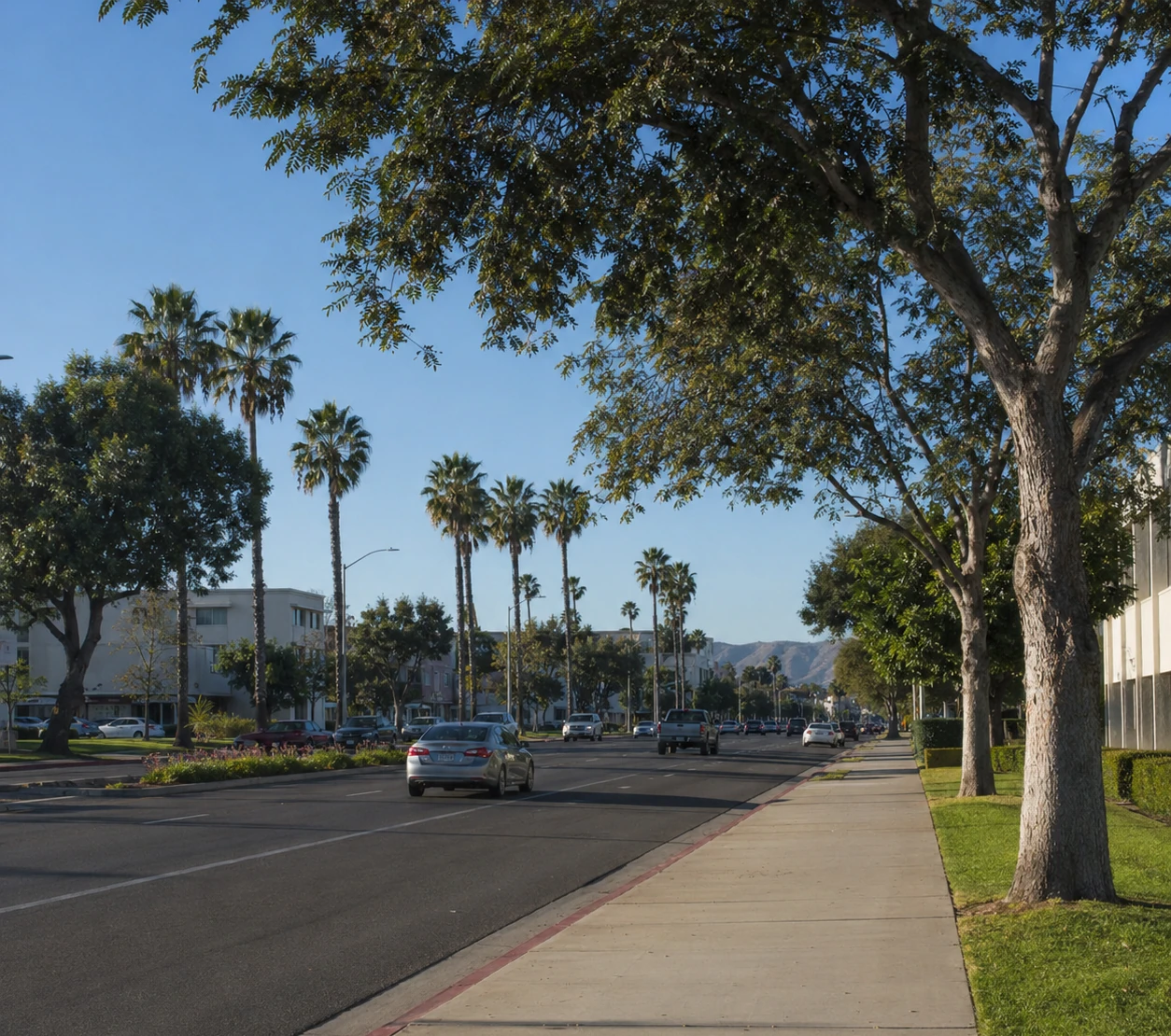 Professional IQ testing in Garden Grove - licensed psychologists