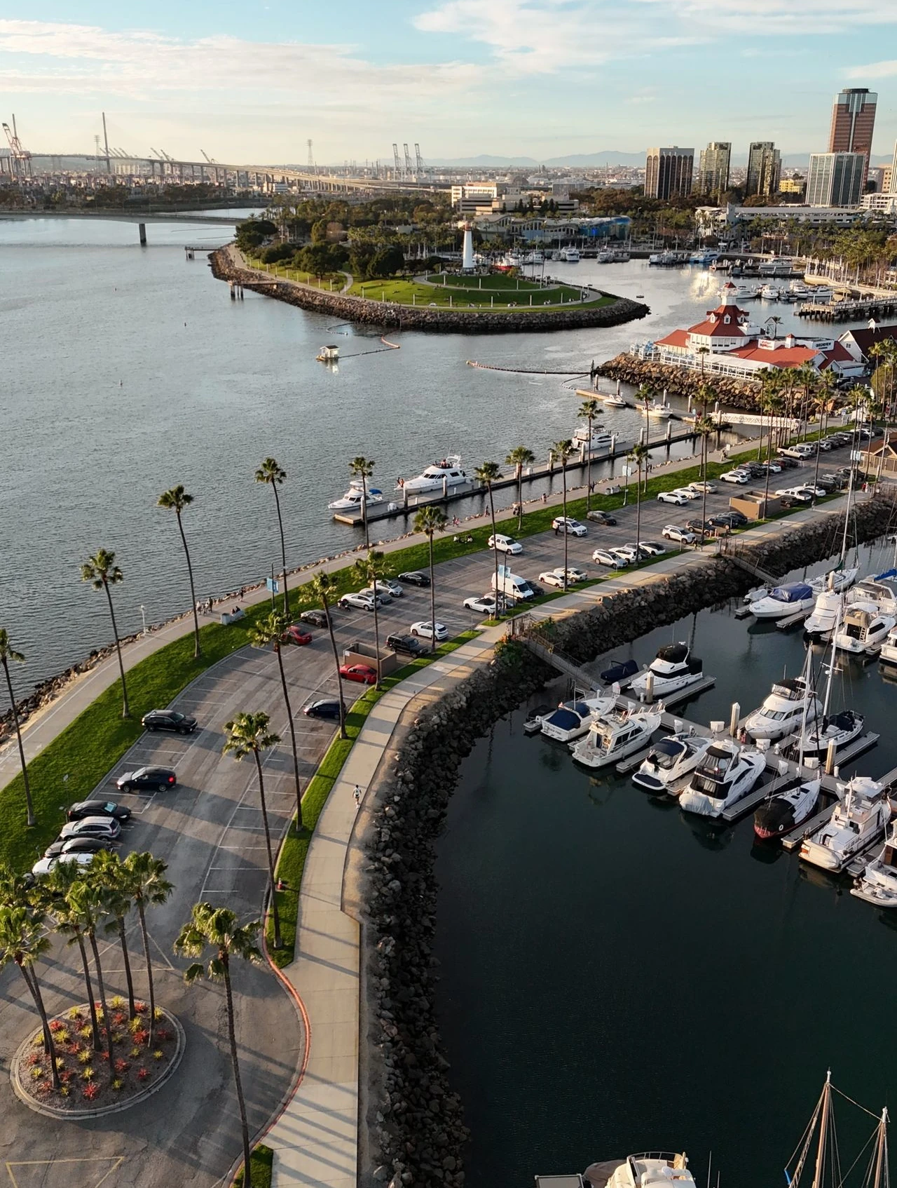 Professional IQ testing in Long Beach - licensed psychologists