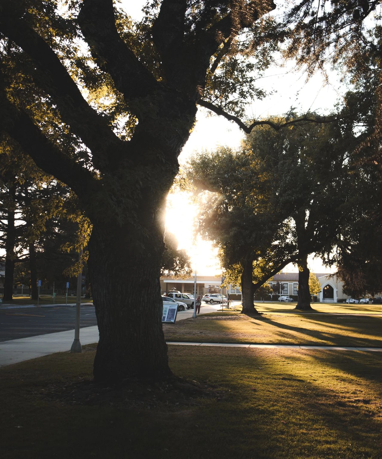 Professional IQ testing in Modesto - licensed psychologists