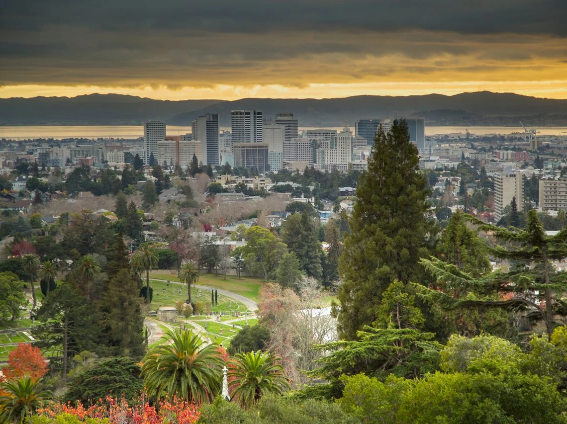 Professional IQ testing in Oakland - licensed psychologists
