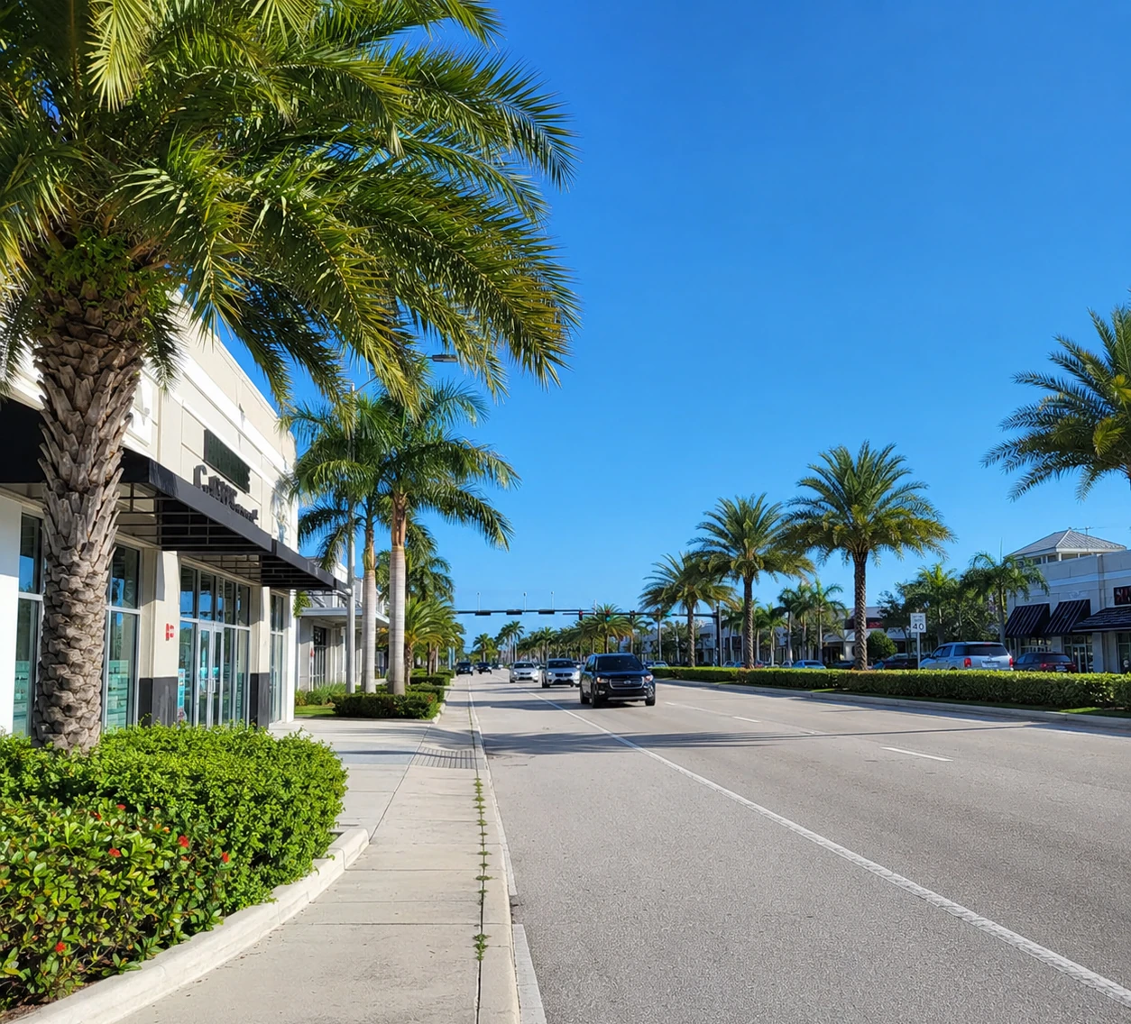 Professional IQ testing in Port St. Lucie - licensed psychologists