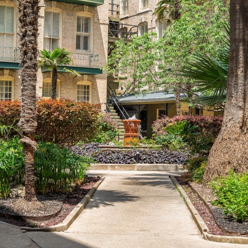 Professional IQ testing in San Antonio - licensed psychologists