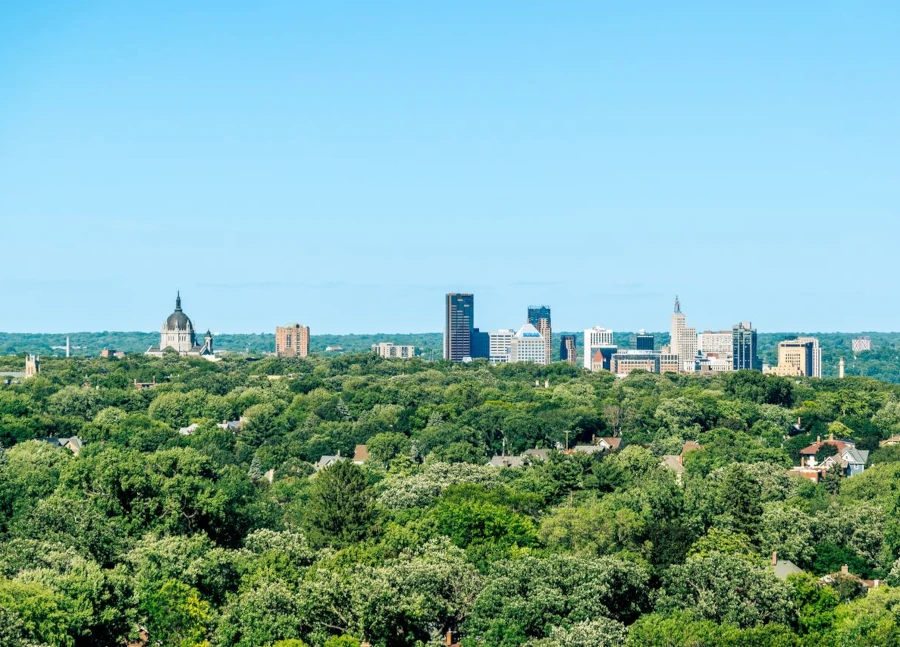 Professional IQ testing in St. Paul - licensed psychologists