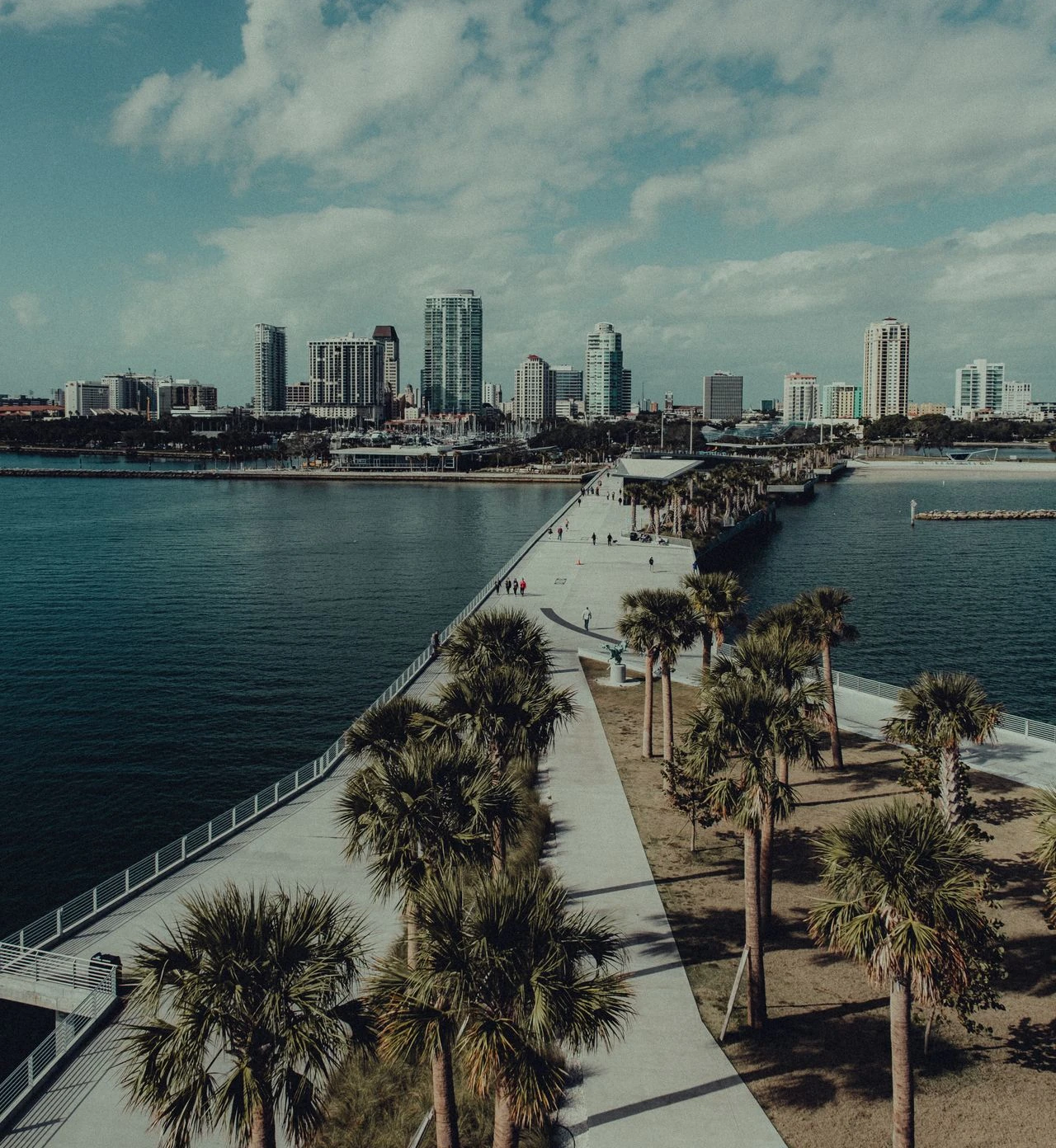 Professional IQ testing in St. Petersburg - licensed psychologists