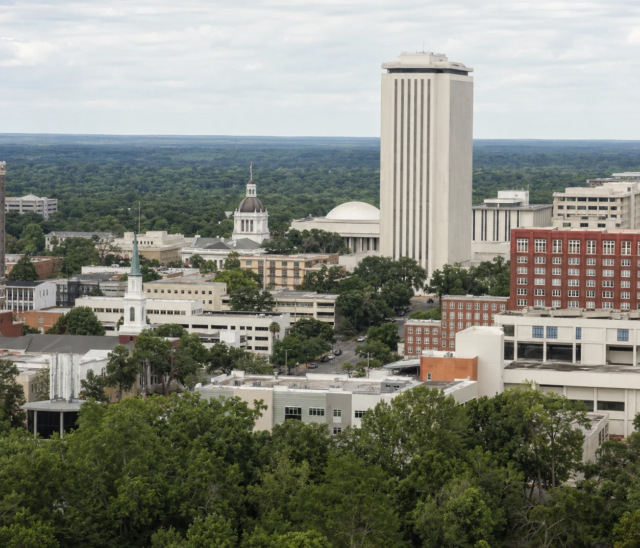 Professional IQ testing in Tallahassee - licensed psychologists