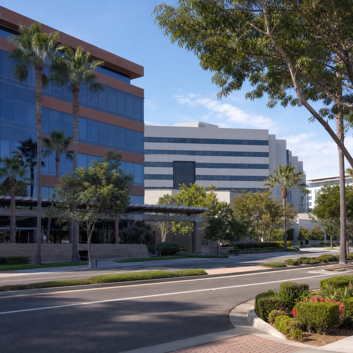 Professional IQ testing in Torrance - licensed psychologists