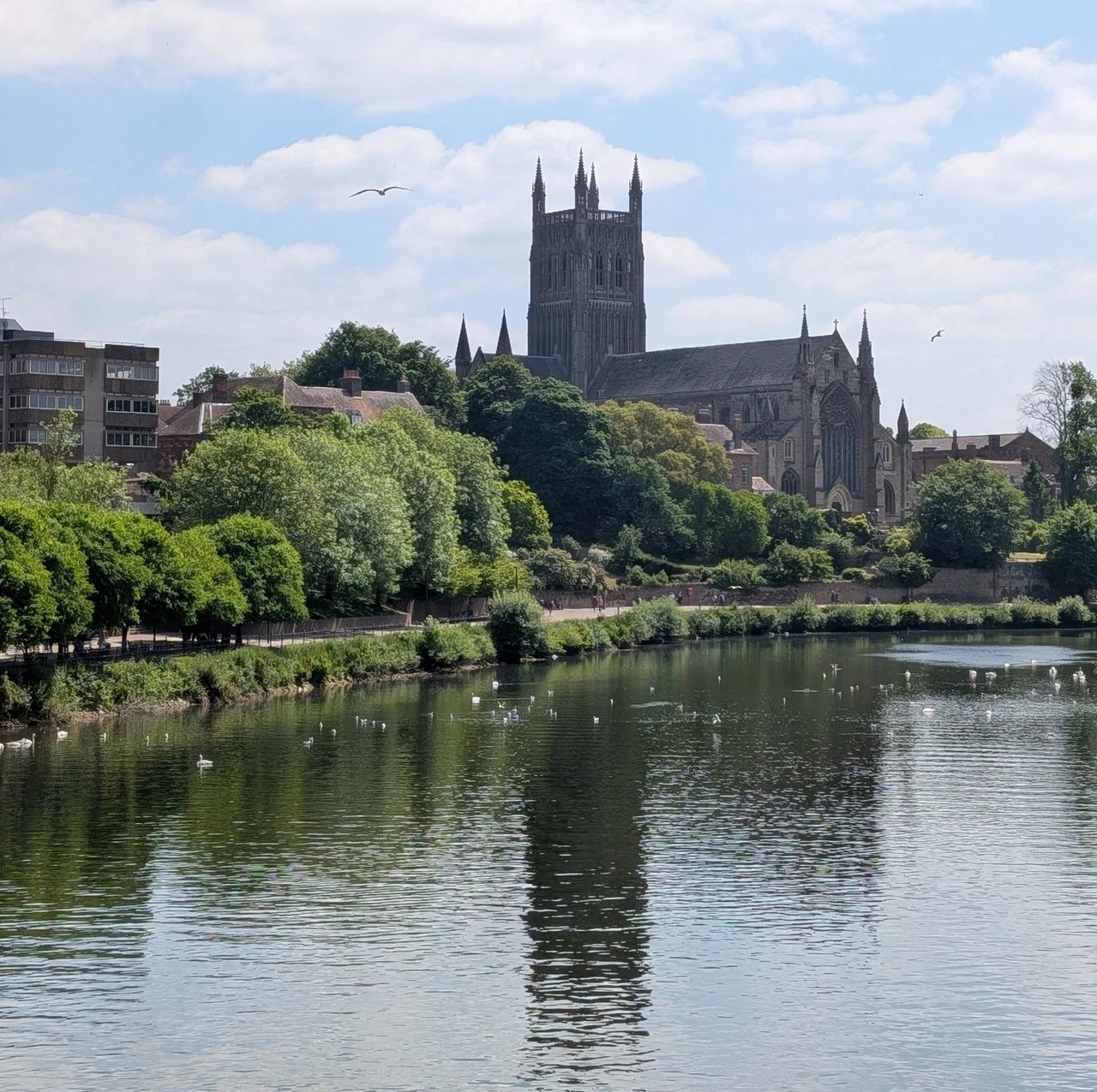 Full evaluation in Worcester - licensed psychologists